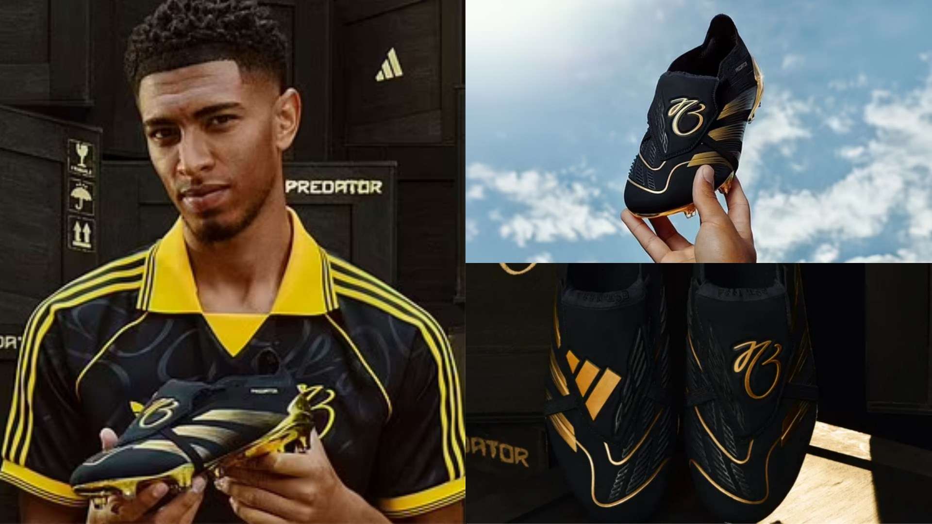 但正因为这 但正因为这