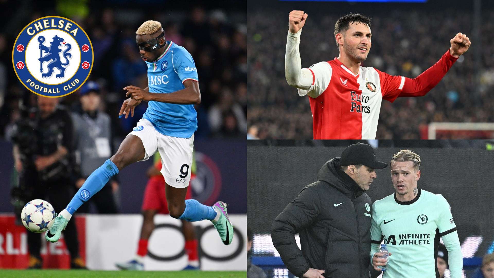 以从家族背 以从家族背